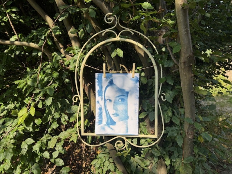 Warsztaty cyjanotypii w Puszczy